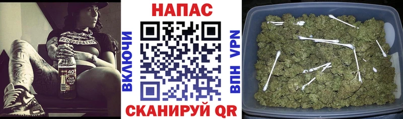 Конопля сатива  наркота  Оленегорск 